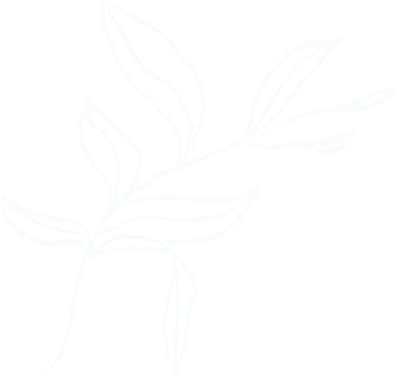 Branch of Leaves